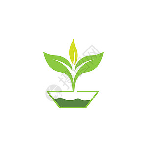 叶标志模板矢量符号环境绿色插图生长生态生物植物叶子装饰品背景图片