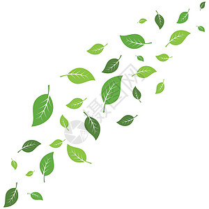 飞叶标志矢量白色绿色叶子生态植物季节环境墙纸草本树叶背景图片