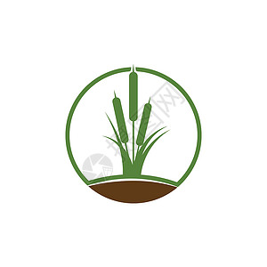 芦苇图标矢量设计模板环境香蒲植物学甘蔗生长植物群黑色植物插图沼泽背景图片