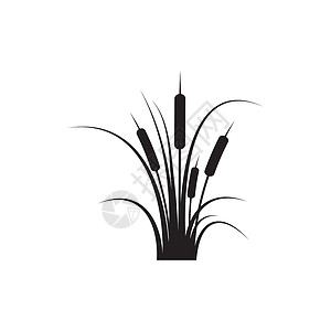芦苇图标矢量设计模板插图叶子沼泽香蒲甘蔗植物植物群环境生长植物学背景图片