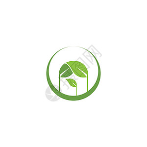 叶标志模板矢量符号生长绿色叶子装饰品环境插图生态植物生物背景图片
