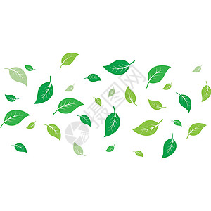 飞叶标志矢量白色植物墙纸插图绿色季节草本树叶叶子环境背景图片