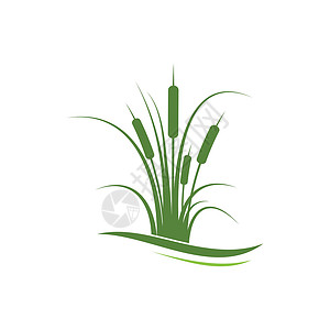 芦苇图标矢量设计模板环境沼泽植物插图黑色生长植物群甘蔗香蒲植物学背景图片