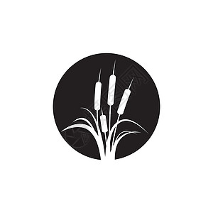 芦苇图标矢量设计模板叶子插图沼泽黑色生长植物香蒲环境植物群植物学背景图片