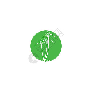 甘蔗 Logo 模板矢量符号生物植物地球燃料场地绿色插图生长农场标识背景图片