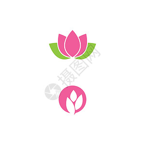 莲花标志模板矢量符号瑜伽标识叶子温泉植物背景图片
