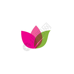 莲花标志模板矢量符号叶子温泉瑜伽植物标识背景图片