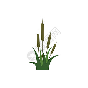 芦苇图标矢量设计模板植物黑色香蒲环境沼泽插图叶子甘蔗植物学植物群背景图片