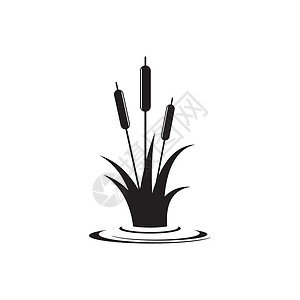 芦苇图标矢量设计模板甘蔗植物学香蒲环境植物生长插图黑色沼泽植物群背景图片
