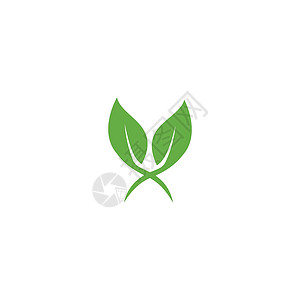 叶标志模板矢量符号生长植物插图装饰品绿色环境生态叶子生物背景图片
