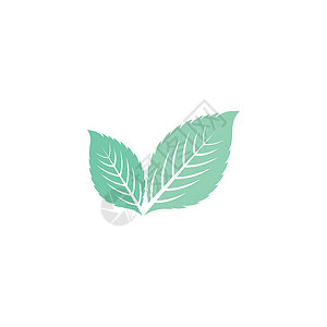 叶薄荷标志模板矢量符号植物药品薄荷香气艺术草本植物插图食物草本绿色背景图片