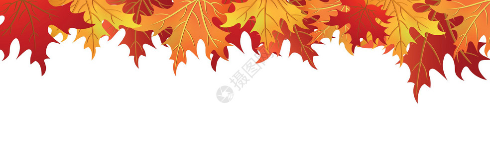 十一月你好文字现实的秋季秋秋叶 白背景和文字空间  矢量卡片海报晋升感恩横幅橙子植物店铺广告框架设计图片