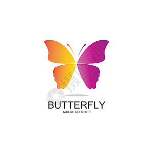美丽蝴蝶图标设计翅膀飞行创造力身份标识插图商业圆圈化妆品公司背景图片