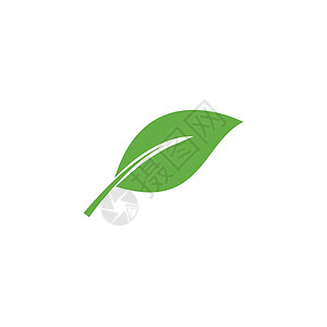 叶标志模板矢量符号生态装饰品生长生物绿色环境植物插图叶子背景图片