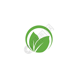 叶标志模板矢量符号生态绿色环境生物装饰品叶子生长植物插图背景图片