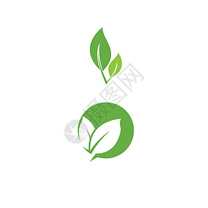 叶标志模板矢量符号插图绿色生物生态叶子装饰品环境生长植物背景图片