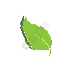 叶标志矢量图标设计模板标识植物标签商业生活环境生物插图化妆品艺术背景图片