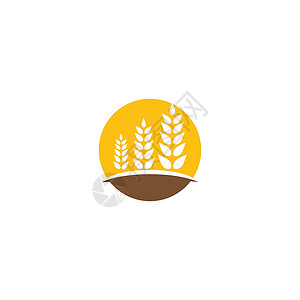 农业模板小麦 Logo 模板矢量符号生长营养粮食种子标识植物耳朵收成谷物面包插画