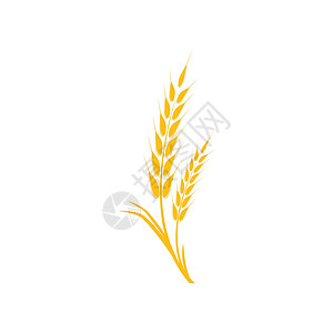 小麦 Logo 模板矢量符号面包农业收成谷物食物生长营养农场植物标识背景图片