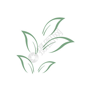 桉树叶标志矢量模板叶子生态标识植物学绿色植物防腐剂绿叶草药桉树背景图片