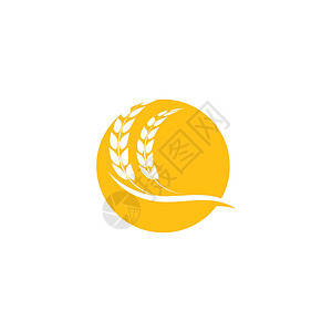 小麦 Logo 模板矢量符号农业食物植物粮食种子面包谷物营养耳朵农场背景图片