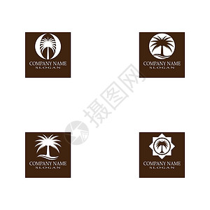 设置日期树徽标模板矢量符号食物棕榈热带水果黑色白色叶子海滩旅行植物背景图片