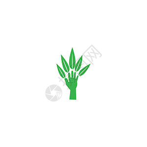叶标志模板矢量符号自然环境绿色生长插图生物叶子植物生态装饰品背景图片