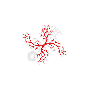 红色眼球人体静脉和动脉插图设计宏观眼睛生物学医疗血管眼球曲线标识药品解剖学插画