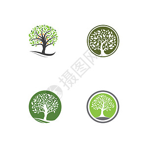 树标志模板矢量 ico环境生态花园标识植物公司橡木叶子插图商业背景图片