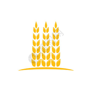 小麦 Logo 模板矢量符号植物生长标识耳朵粮食农业营养种子农场谷物背景图片