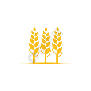 粮食logo小麦 Logo 模板矢量符号食物营养种子收成粮食耳朵植物面包标识谷物插画