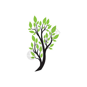 树标志模板矢量 ico叶子绿色橡木生活生长生态商业公司花园植物背景图片