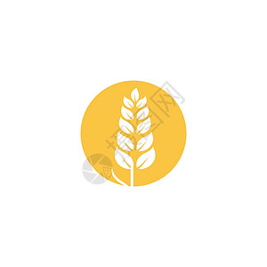 小麦 Logo 模板矢量符号食物农场生长谷物标识收成农业植物营养耳朵背景图片