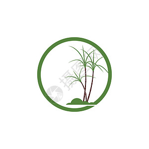 甘蔗 Logo 模板矢量符号叶子颗粒状插图产品棕榈标识生物热带收成食物背景图片