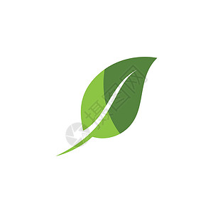 绿色树叶生态自然元素的标志艺术企业生物商业回收品牌生长公司环境平衡背景图片