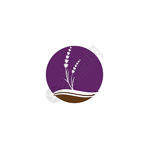 薰衣草 Logo 模板矢量符号紫色花束草本植物植物草本白色芳香香气叶子花园背景图片