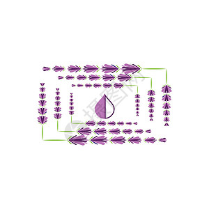 薰衣草 Logo 模板矢量符号草本植物紫色花束植物白色花园香气疗法芳香叶子背景图片