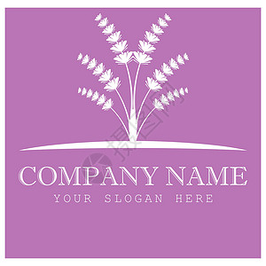 薰衣草 Logo 模板矢量符号叶子紫色芳香白色植物花园草本香气疗法草本植物背景图片
