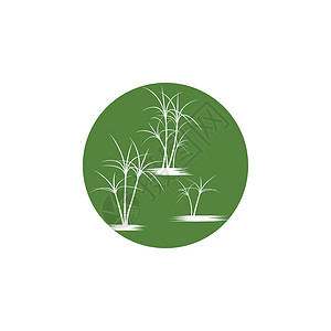 甘蔗 Logo 模板矢量符号收成插图棕榈生物标识贴纸植物叶子绿色热带背景图片