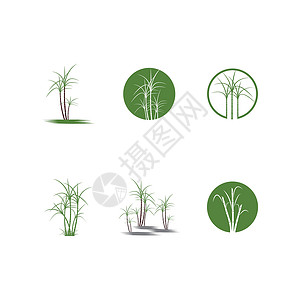 甘蔗标志模板 vecto食物果汁标识生物标签棕榈插图产品绿色颗粒状背景图片