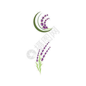 薰衣草 Logo 模板矢量符号叶子香气植物草本芳香疗法白色花园紫色草本植物背景图片