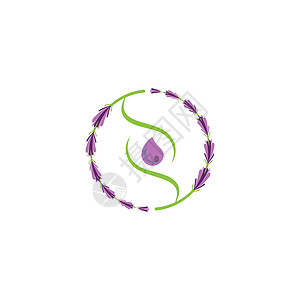 薰衣草 Logo 模板矢量符号花园草本花束紫色植物香气疗法草本植物芳香白色背景图片