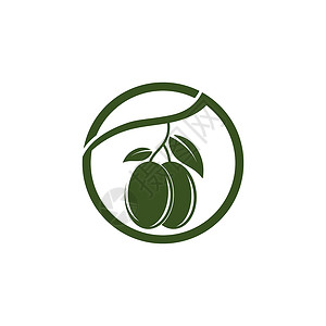 滇橄榄它制作图案橄榄徽标模板矢量图标生态食物标签季节处女植物收成插图标识农场插画
