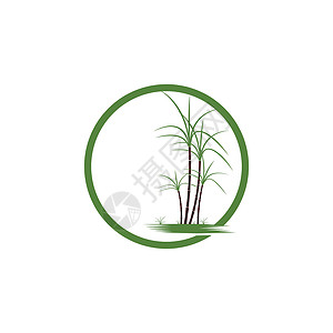 甘蔗 Logo 模板矢量符号颗粒状叶子绿色棕榈横幅标识标签生物热带贴纸背景图片