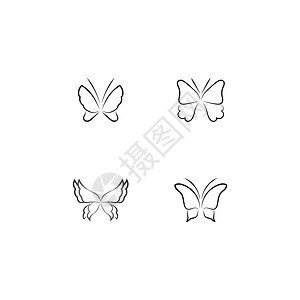 美丽蝴蝶图标设计昆虫圆圈身份繁荣商业创造力花园飞行插图翅膀背景图片