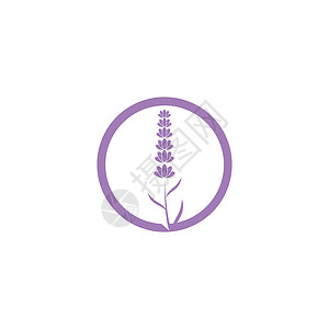 薰衣草 Logo 模板矢量符号紫色白色疗法叶子花束草本芳香草本植物香气植物背景图片