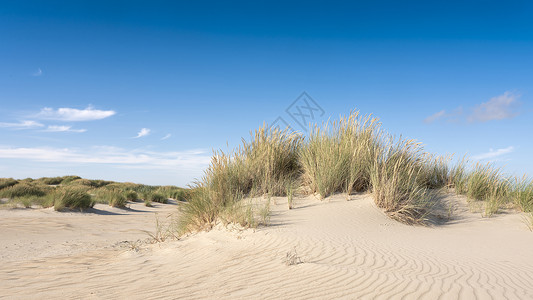 夏洛茨维尔土丘瓦登群岛在内地有许多荒沙沙丘 在灰色的蓝色夏月天空中旅游晴天场景日落海景支撑沙丘公园海岸小路背景
