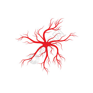 红色眼球人体静脉和动脉插图设计眼球标识曲线生物学解剖学医疗血管宏观眼睛红色插画