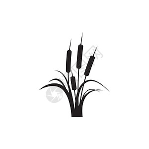 芦苇图标矢量设计模板植物植物学植物群香蒲沼泽黑色生长叶子甘蔗环境背景图片