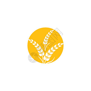 小麦 Logo 模板矢量符号农业营养标识农场粮食种子植物收成食物谷物背景图片